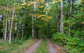 Trails and Open Space_Greene County NY